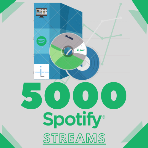 5000 spotify streams - music promotion